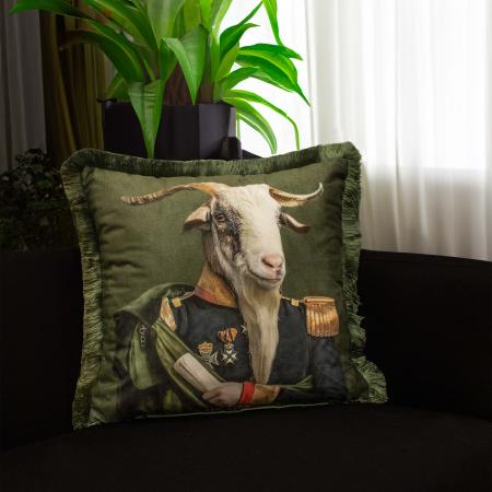 Cushion Collection - EY381